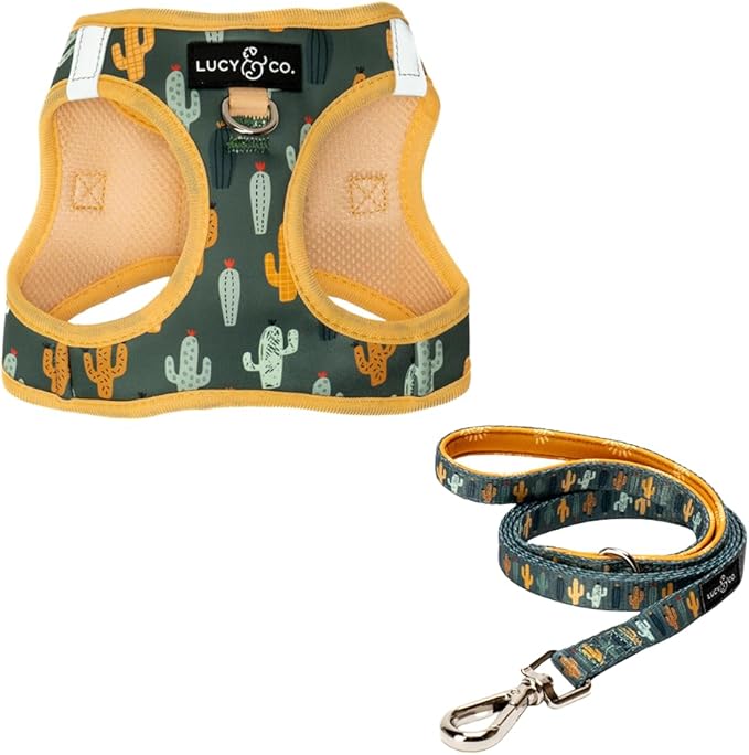 Lucy & Co. Looking Sharp Step-in Cat Harness & Leash Bundle – Reflective, Breathable & Adjustable Harness for Cats, Kittens & Small Dogs, Lightweight & Secure and Dual Leash Clips – Medium