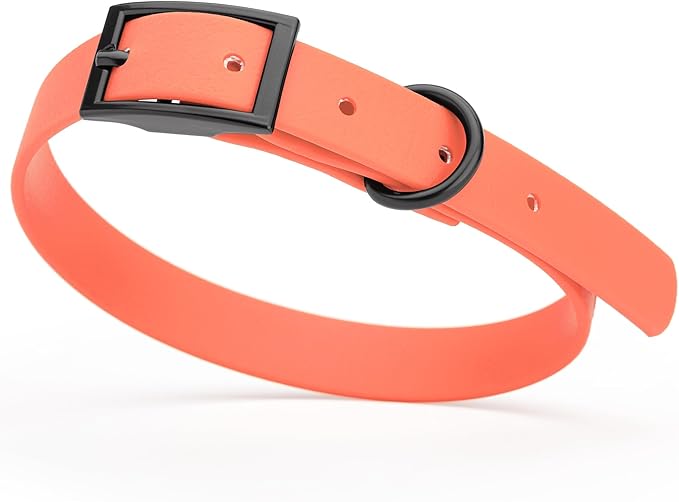 Dogline Biothane Coated Webbing Dog Collar with Black Metal Hardware: Durable Easy-Clean Everyday Collar for Dogs - Comfortable Adjustable Odor-Resistant Pet Collar, W5/8" x L12-15, Coral