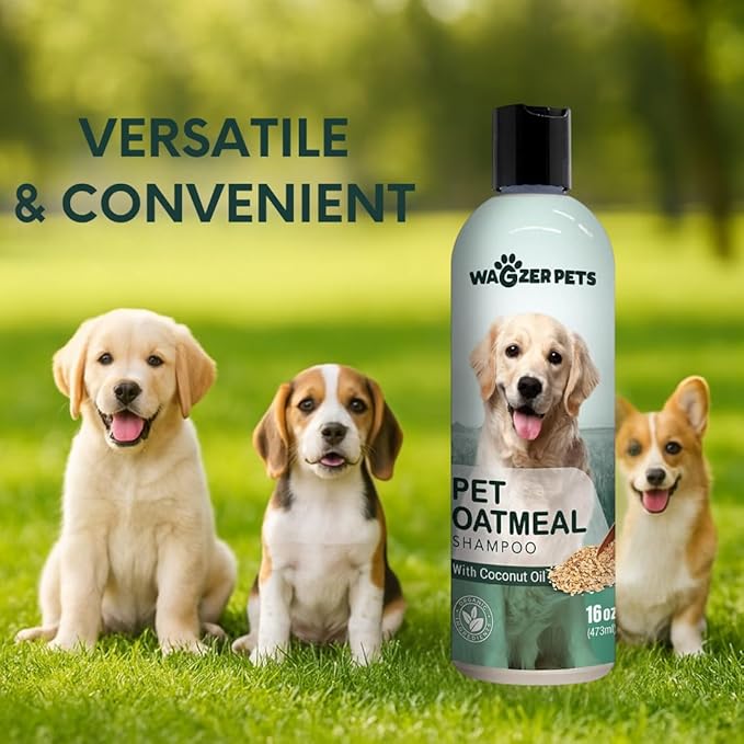 Oatmeal Dog Shampoo with Coconut Oil for Dogs | Soothing Dog Shampoo for Itching and Dry Skin | Oatmeal Bath Hypoallergenic and Gentle Pet Care for Sensitive Skin and Coat | 16 oz