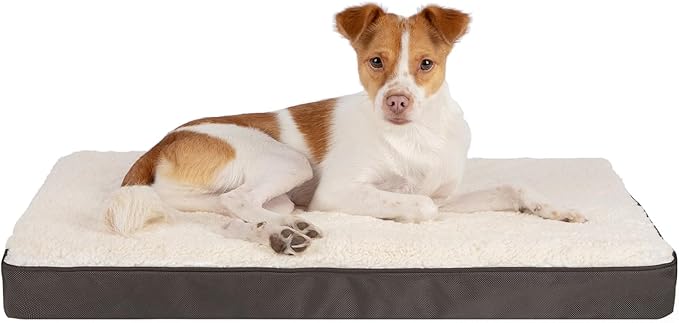 Best Pet Supplies Dog House Bed Crate Mat Tent Indoor Round Soft Plush for Small, Medium, and Large Breeds - Brown, 41 x 29 x 4