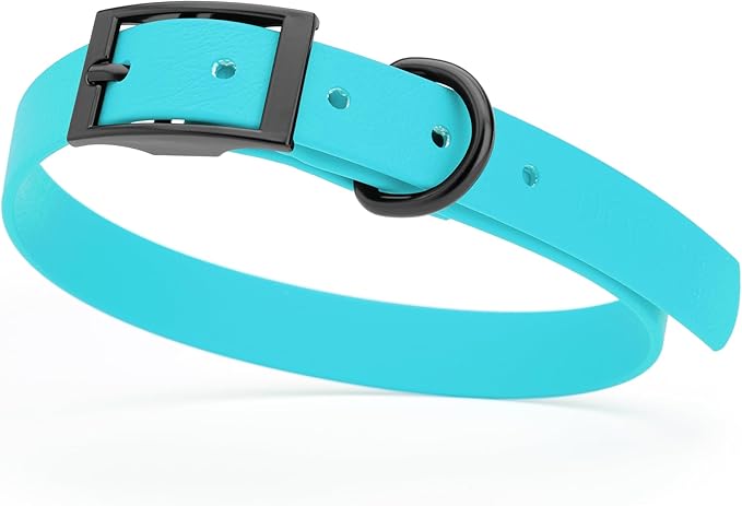 Dogline Biothane Coated Webbing Dog Collar with Black Metal Hardware: Durable Easy-Clean Everyday Collar for Dogs - Comfortable Adjustable Odor-Resistant Pet Collar, W3/4" x L15-18, Sky Blue
