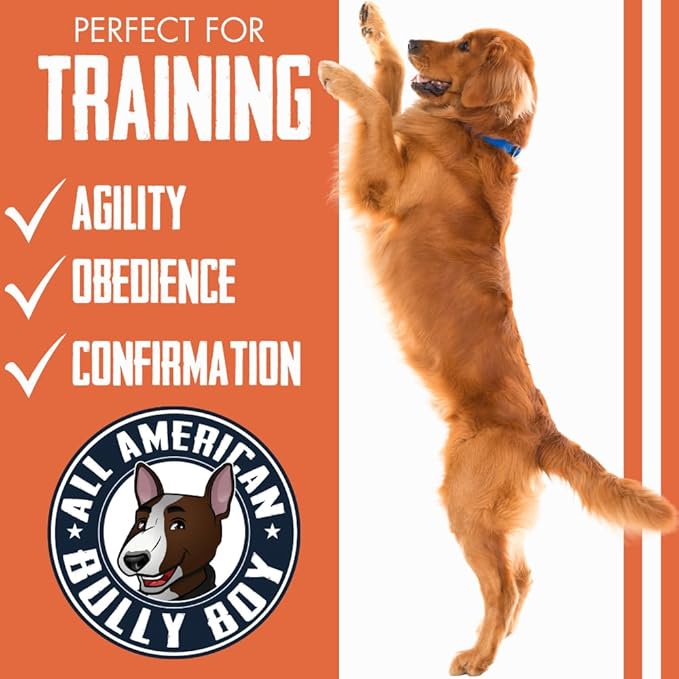 Bully Boy's Famous Beef Sticks Dog Treats | Free from Wheat, Corn, Soy, or Gluten | USA Sourced Ingredients | with Smokehouse Beef | Made in Utah | 15 oz - 2 Pack