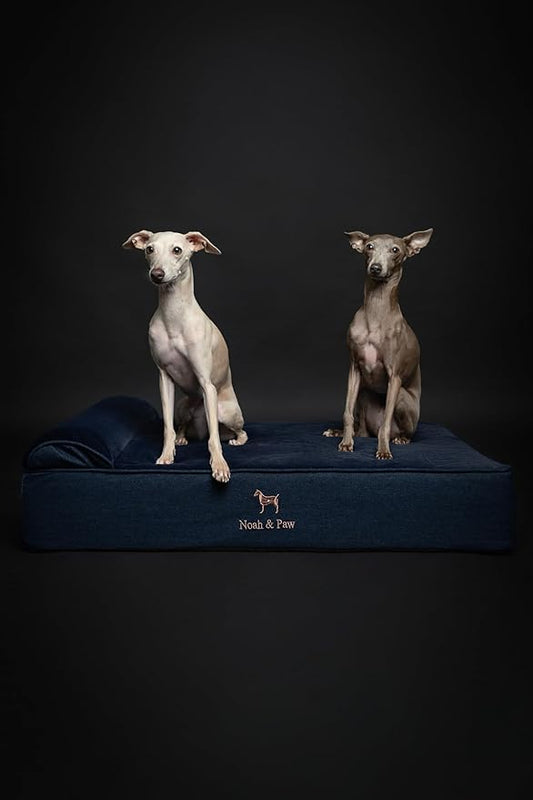 NOAH & PAW Large Dog Bed, 35x25x8.7 Inch, Orthopedic Dog Beds, Eggshell Memory Foam Infused with Cooling Gel, Waterproof, Machine Washable, Includes Inner Cover (Denim Collection)
