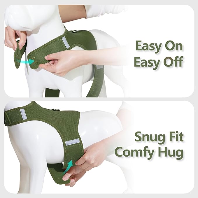 Dog Harness for Puppy – Adjustable Reflective Easy Put On Soft Mesh Vest for Small Dogs with 2 Patches (Misty Green,S)