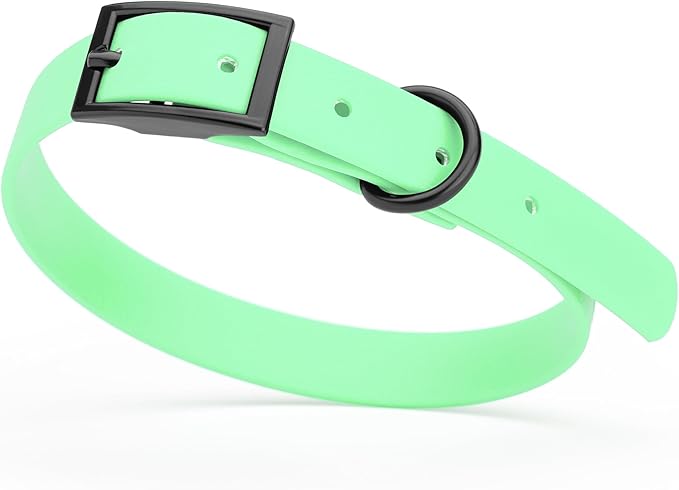 Dogline Biothane Coated Webbing Dog Collar with Black Metal Hardware: Durable Easy-Clean Everyday Collar for Dogs - Comfortable Adjustable Odor-Resistant Pet Collar, W5/8" x L12-15, Sea Foam Green