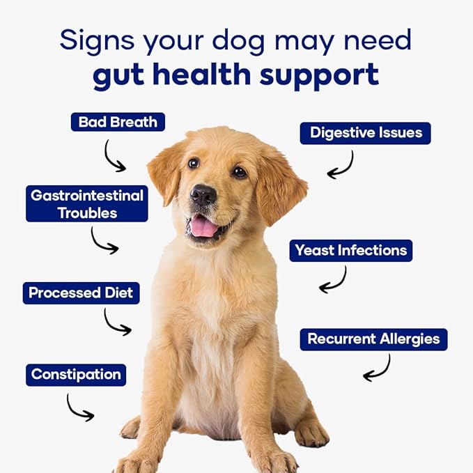 GastroQuel: A New Age Natural Solution for Gut Health, Diaerhea & Bowel Support for Dogs (2)