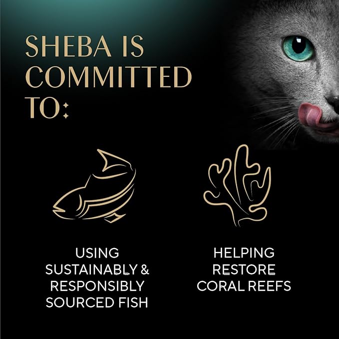 Sheba Selections Filets in Broth Adult Wet Cat Meal Complement Chicken Recipe and Chicken & Tuna Recipe, 1.3 oz. Cups, 8 Count (Pack of 2)