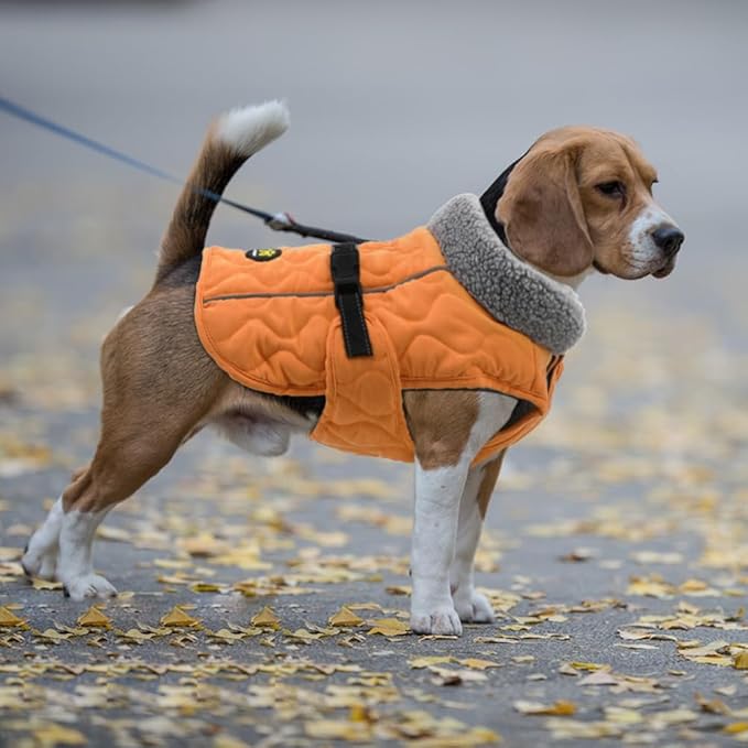 Dog Cold Weather Coats, Fleece Lining Small/Medium/Large Dog Jackets for Winter, Adjustable Pet Winter Clothes for X-Large Dogs, Water Resistant Pet Apparel with Buckle, Orange XL