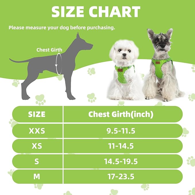 PUPTECK Dog Harness and Leash Set Small Sized, Step-in Cute Puppy Harness, Soft Lightweight Padded Vest, Escape Proof No Pull Pet Harnesses Easy for Walking, Green, S