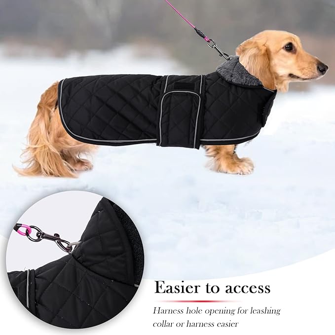 Geyecete Warm Thermal Quilted Dachshund Coat, Dog Winter Coat with Warm Fleece Lining, Outdoor Dog Apparel with Adjustable Bands for Medium, Large Dog-Black-M