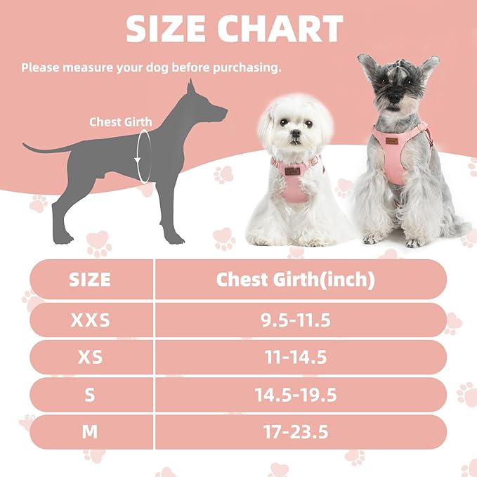 PUPTECK Dog Harness and Leash Set Small Sized, Step-in Cute Puppy Harness, Soft Lightweight Padded Vest, Escape Proof No Pull Pet Harnesses Easy for Walking, Pink, M