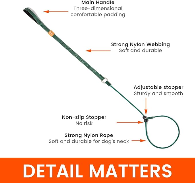 Howgo Dog Slip Lead Dog Leash, Training Lead, No-Pull Slip Leash and Collar, Heavy Duty & Durable Nylon, Padded Handle, for All Breeds (MintGreen, 3.6FT)
