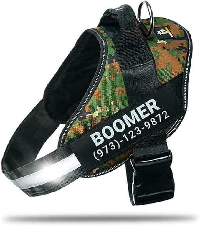 Personalized No-Pull Dog Harness with Name Patch, Adjustable, Reflective, Padded, Heavy Duty Pet Vest to Prevent Tugging, Pulling, or Choking, Training and Walking, Military Green, XS