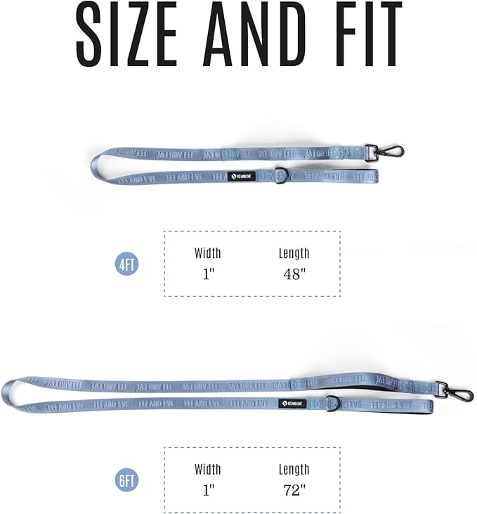 2025 New Edition, Fei & Eve Classic Dog Leash - 6FT, Dual Padded Handles, 360° Swivel Hook, Heavy Duty 210D Nylon - No-Pull Design with Traffic Control Handle - for Small/Medium/Large Dogs, Blue
