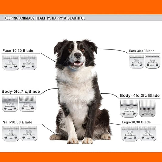Audoc 3Pack #30 Blade Dog Grooming Clipper Replacement Blades Compatible with Wahl/Oster Dog Clippers,Detachable Ceramic Blade & Stainless Steel Blade,Size-30, 1/50-Inch Cut Length (64260)