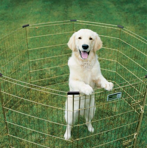MidWest Homes for Pets Folding Metal Puppy/Dog Exercise Pen, Indoor/Outdoor Playpen with Door, 16 Sq Feet of Play Space, 30-Inches Tall, Gold Zinc