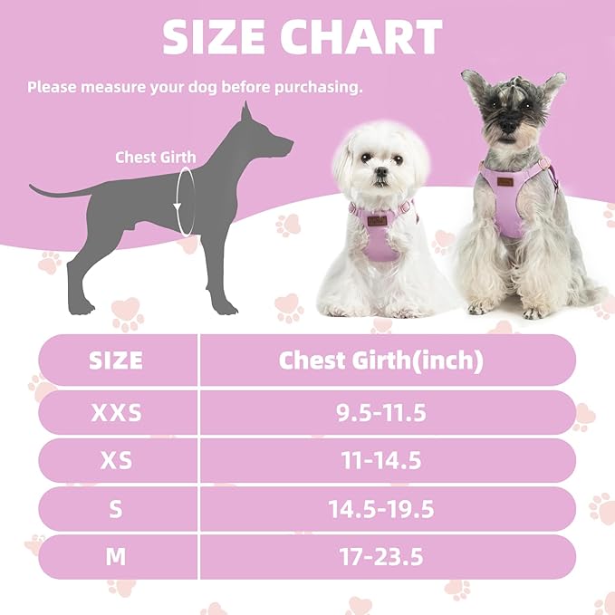 PUPTECK Dog Harness and Leash Set Small Sized, Step-in Cute Puppy Harness, Soft Lightweight Padded Vest, Escape Proof No Pull Pet Harnesses Easy for Walking, Purple, S