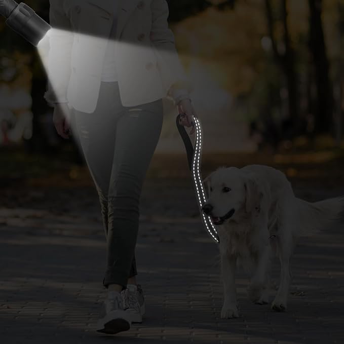 Dog Leash, Short Dog Leash, Leashes for Large Breed Dogs,Traffic Padded Handle- Reflective Training Lead, Perfect for Medium to Large Dogs(24 Inch, Black)