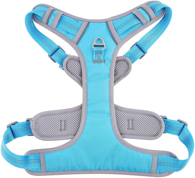 Adjustable Dog Harness - No Pull, Reflective, Soft Padded for Small, Medium, Large Dogs - Includes Leash and Collar Turquoise XL
