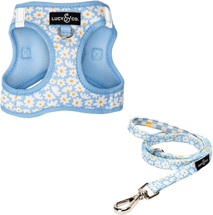 Lucy & Co. Simply Splendid Step-in Cat Harness & Leash Bundle – Reflective, Breathable & Adjustable Harness for Cats, Kittens & Small Dogs, Lightweight & Secure and Dual Leash Clips – Small