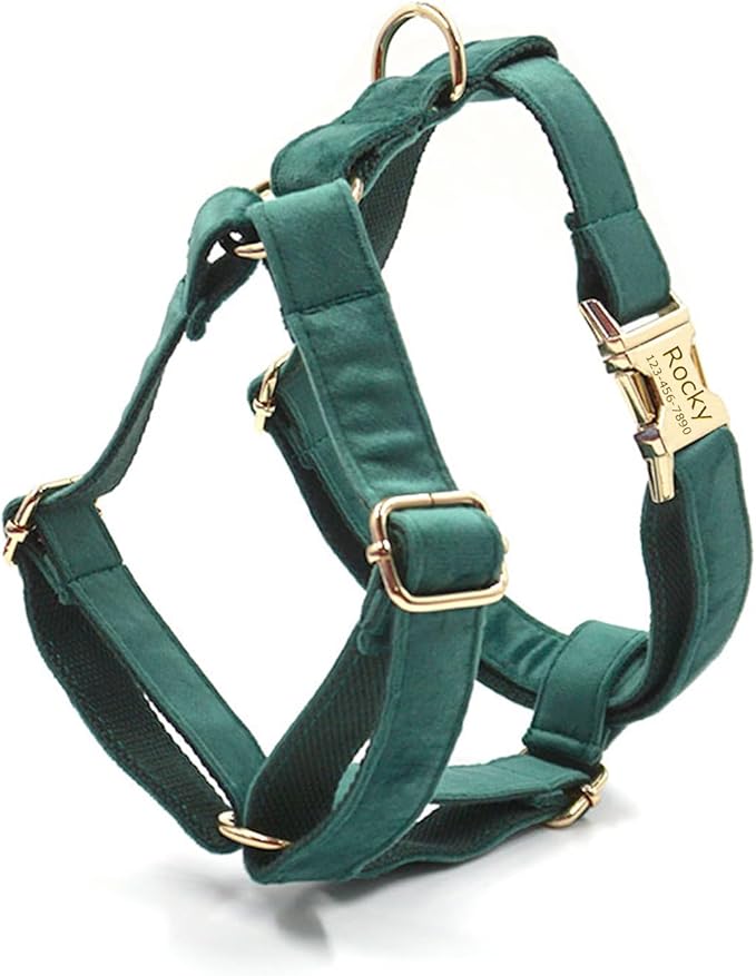 Personalized Velvet Dog Collars with Pet Name Phone Number Engraved, Custom Adjustable Soft Collar with Metal Buckle for Small Medium Large Dogs, Dog Leash and Bow Tie Available -Dark Green