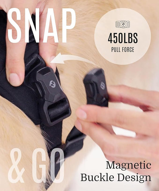 2025 New Edition, Fei & Eve MagEase Dog Harness - 3-Second Magnetic Buckles | 3-Point No-Pull Control | Heavy-Duty 900D Nylon | Dual Safety Handles | Breathable Mesh | Adjustable Fit | Small, Gray