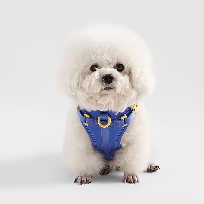HNS1001C Arlo Small Adjustable Soft Padded No Pull Pet Harness with 3 Buckles and 3 Leash Clips, Curaçao