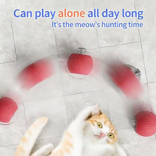 Zarutor Interactive Rolling Ball, 360° Smart Automatic Rolling Electric Dog Ball, Chase Mate Cat Toy, Durable and Safe, Fast Rolling Toy for Dogs and Cats (Blue)