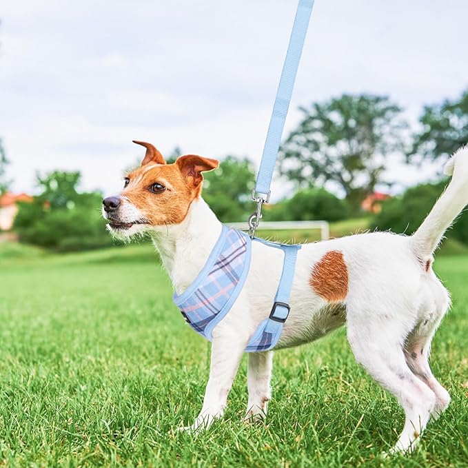 SCENEREAL Puppy Dog Harness with Leash Set for Small Medium Sized Dogs, Soft Mesh Step in Pet Harnesses and Leash, No Chock Plaid Adjustable No Pull Vest for Dogs Cats, Chihuahua,Bulldog (Blue M)
