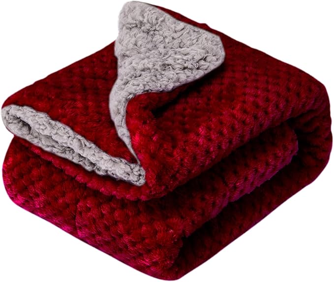 Fuzzy Blanket or Fluffy Blanket for Baby Girl or boy, Soft Warm Cozy Coral Fleece Toddler, Infant or Newborn Receiving Blanket for Crib, Stroller, Travel, Outdoor (40" x 48", DG-Coral Red)