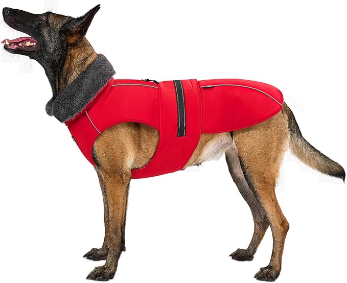 OneTigris Dog Coat Waterproof Dog Jacket with Adjustable Buckle Hook & Loop Windproof Cold Weather Coats for Small Medium Large Dogs (Red, X-Large)