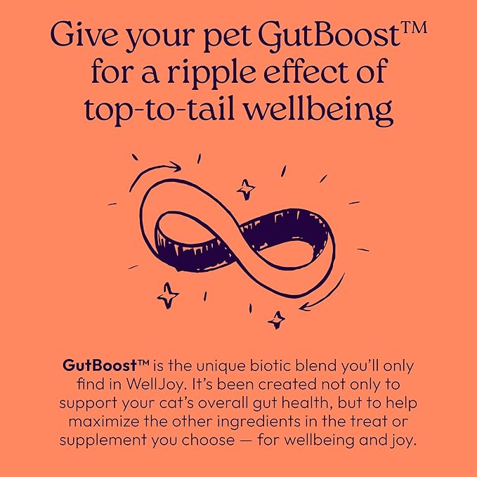 WIJ WellJoy Cat Treat Skin & Coat+ GutBoost | Nourishes Healthy Skin | Supports Shiny Coat | Dual-Benefit GutBoost Formulation | Vet Formulated | Made in USA | Real Shredded Chicken | 120 Soft Chews
