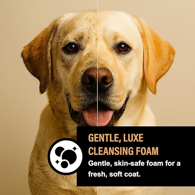 Luxe Foaming Dog Shampoo – Gentle, Moisturizing Pet Wash for Dry & Sensitive Skin – Skin Soothing, Odor Control, Shiny Healthy Coat – 8 fl oz (Cranberry Spice)