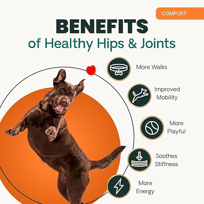 VetriScience Ultimate Strength Hip & Joint Supplement for Dogs, GlycoFlex Plus – MSM, Chondroitin & Green-Lipped Mussel Chews for Mobility, Flexibility, Comfort & Support, Duck Flavor, 120 Cnt