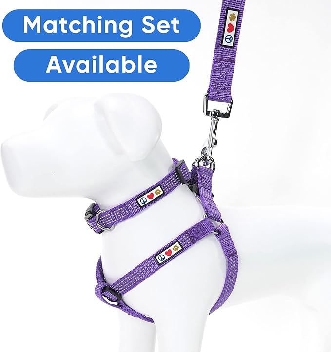 Pawtitas Reflective Dog Collar Adjustable Dog Collars for Small Dogs Puppy Collar Small Dog Collar Purple Dog Collar