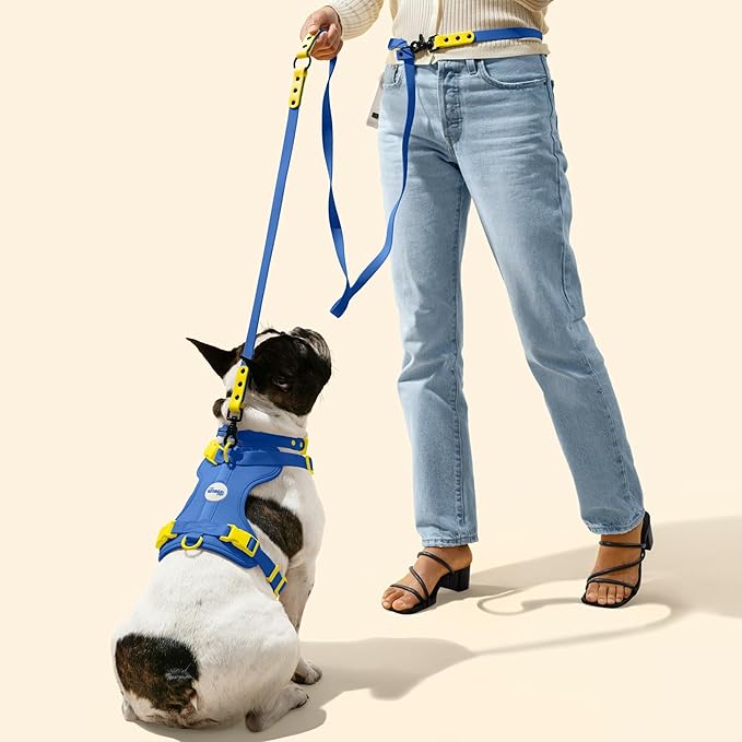 HNS1001C Arlo Small Adjustable Soft Padded No Pull Pet Harness with 3 Buckles and 3 Leash Clips, Curaçao