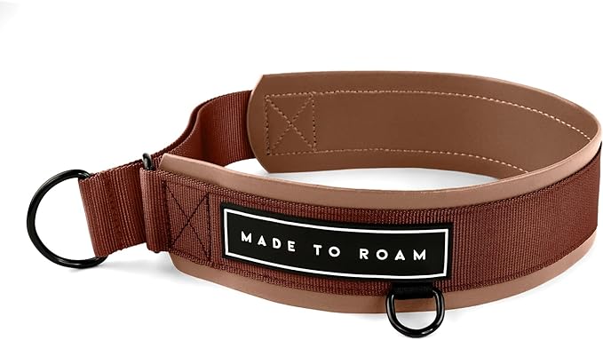 MADE TO ROAM Premium Everyday Dog Collar - Martingale Style No Pull Vegan Leather Collar, Heavy Duty and Lightweight for Small, Medium, Large Dogs (Arizona Heartbeat, Size 2)