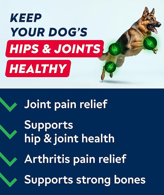 Glucosamine Treats for Dogs - Joint Supplement w/Omega-3 Fish Oil - Chondroitin, MSM - Advanced Mobility Chews - Joint Pain Relief - Hip & Joint Care - Bacon Flavor - 240 Ct - Made in USA