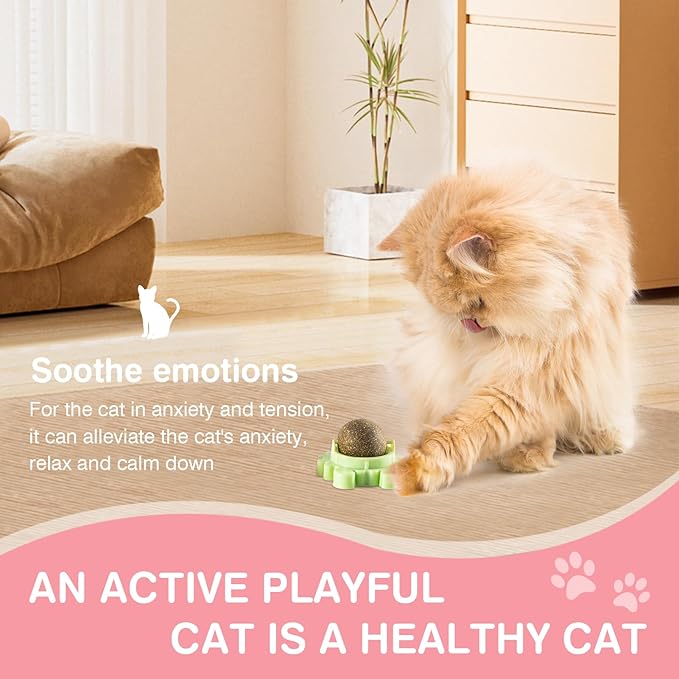 Thorixzen Catnip Ball 360° Balls for Cats Catnip Balls Interactive Toys Wall Catnip Toy Cat Nip Anxiety Relief Indoor Edible Rotatable Play Chew Teeth Cleaning Cat Nips Organic Ball 4 Pack