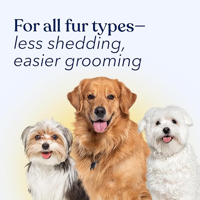 Honest Paws Dog Dry Shampoo - Waterless No Rinse Foaming Formula Reducing Itch Cleanse Hydrate Nourish Dry Skin and Smelly Coat Help Decrease Odor Shedding and Allergies - Oatmeal & Lavender - 8 fl oz