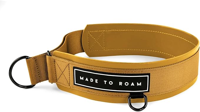 MADE TO ROAM Premium Everyday Dog Collar - Martingale Style No Pull Vegan Leather Collar, Heavy Duty and Lightweight for Small, Medium, Large Dogs (Michigan Autumn, Size 1)