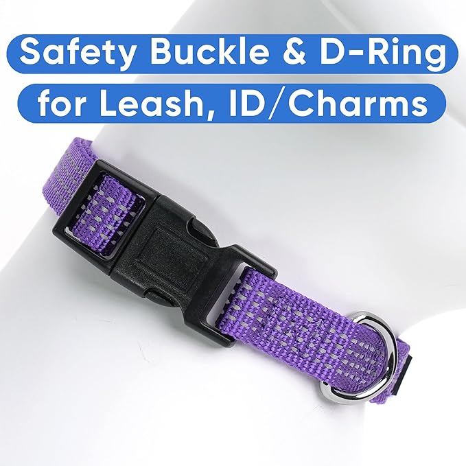 Pawtitas Reflective Dog Collar - Adjustable for Medium Dogs and Puppies - Purple