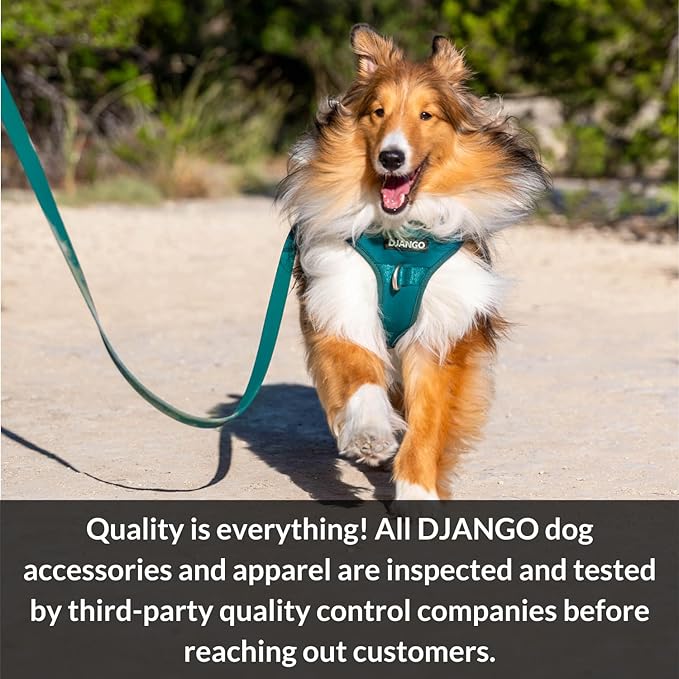 DJANGO Cotton Rope Dog Leash 5ft – Handcrafted Dog Leash and Cream Braided Leash for Small, Medium, and Large Dogs – Durable 5 Foot Training Lead for Puppies and Adult Dogs – Silver Hardware – Ivory