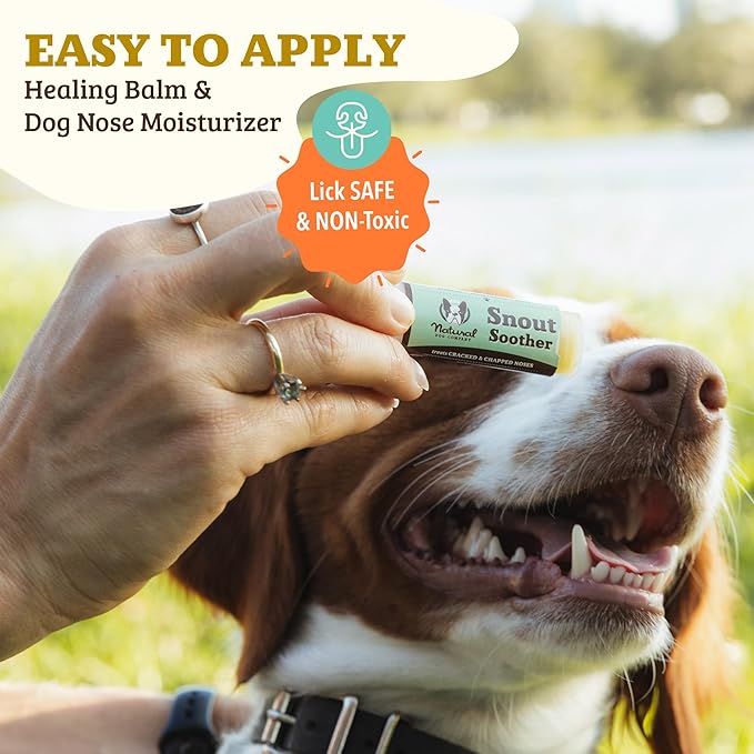 Natural Dog Company Snout Soother Travel Stick 4-Pack – 0.15 oz Chapstick-Size Sticks – Organic, Plant-Based, Lick-Safe Balm for Dry, Cracked, Crusty Noses – Value Bundle, Made in USA