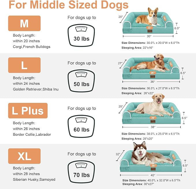 Medium Large Dog Bed Orthopedic Washable: Beds Bolster Medium Large Sized Dog Bed Egg Crate Foam Couch Sofa Waterproof with Removable Cover - Aqua Blue
