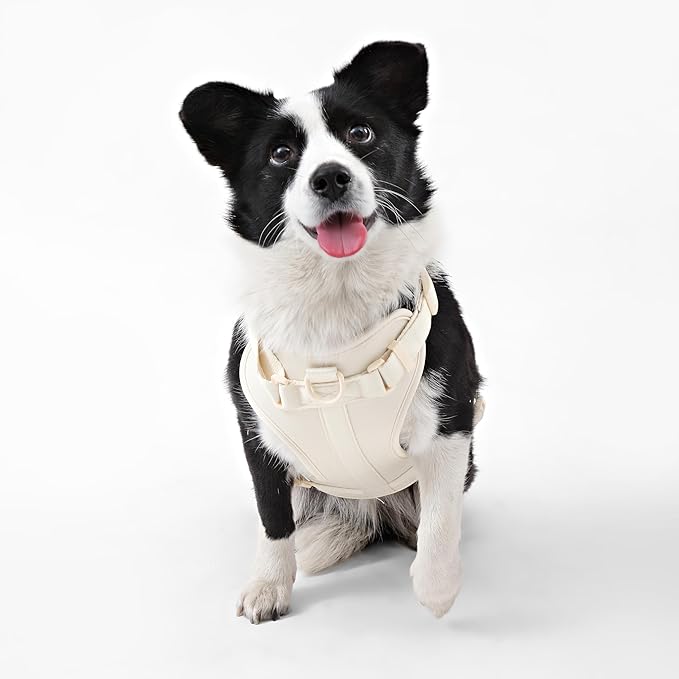 HNS1003L Arlo Large Adjustable Soft Padded No Pull Pet Harness with 3 Buckles and 3 Leash Clips, Bailey