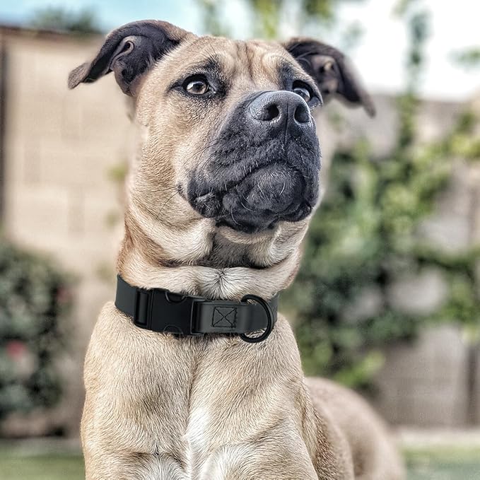 Dogline Durable Biothane Waterproof Collar for Dogs - Odor-Resistant Coated Webbing, Quick-Release Design, Comfortable Adjustable Fit, 1" W by 15-25" L, Black