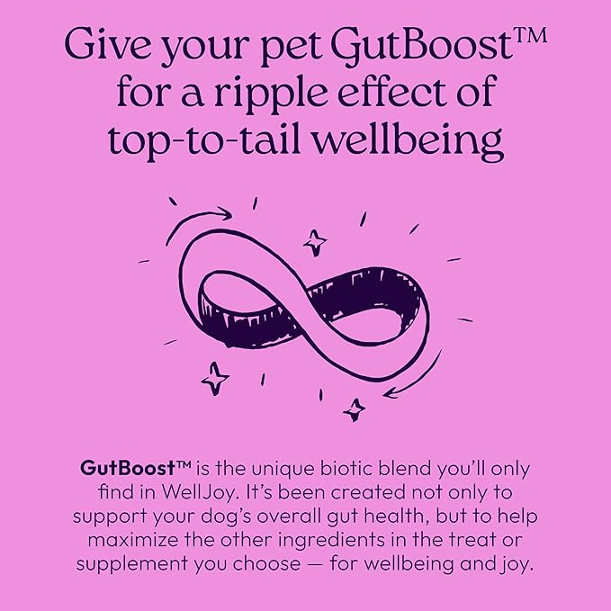 WellJoy Dog Supplement Calming+ GutBoost | Dog Health Supplement | Promotes Relaxation & Calmness | Dual-Benefit GutBoost Formulation | Vet Formulated | USA Made | Chicken Flavor | 90 Soft Chews