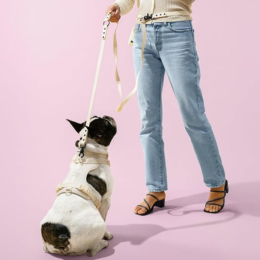 HNS1000L Arlo Extra Small Adjustable Soft Padded No Pull Pet Harness with 3 Buckles and 3 Leash Clips, Bailey