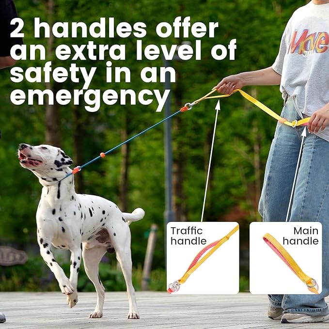 Slip Lead Dog Leash with Double Handles | Reflective Dog Training Leash with 360° Swivel Anti-Tangle | Heavy-Duty Leash and Collar for Large Medium and Small Dogs No-Pull Walking (Multicolor, 5.5FT)